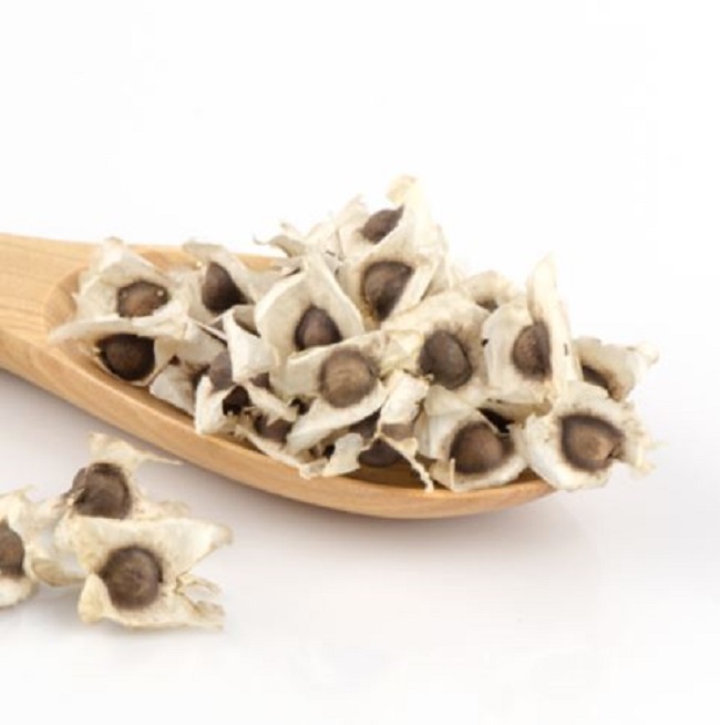 Natural Moringa Seed - Non-GMO