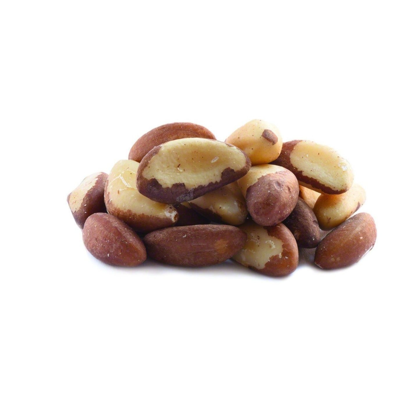Organic Raw Brazil Nuts and Roasted Brazil Nuts for Sale