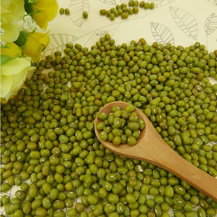 WHOLESALE GOOD QUALITY BUIK SPROUTING GREEN MUNG BEANS