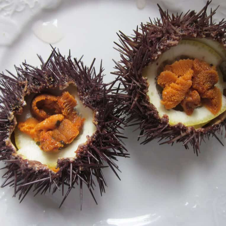 Замороженный морской urchin/свежий морской urchin/сушеный морской urchin для продажи