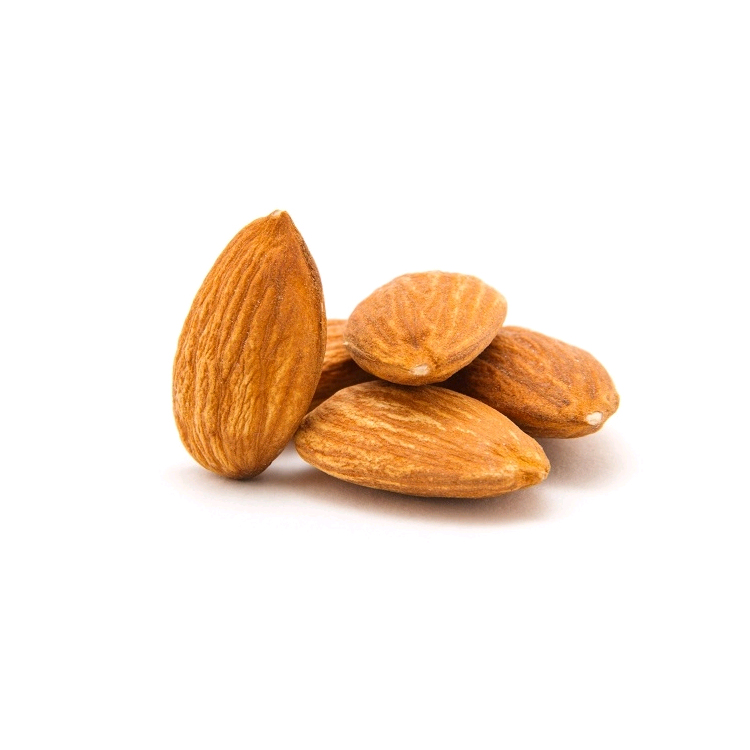 premium almonds/ wholesale Raw Organic Bitter and Sweet Almonds