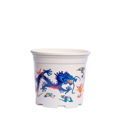Plastic Flowerpot Feng Shui Chinese Nursery Pots for Tet Holiday Not Coated