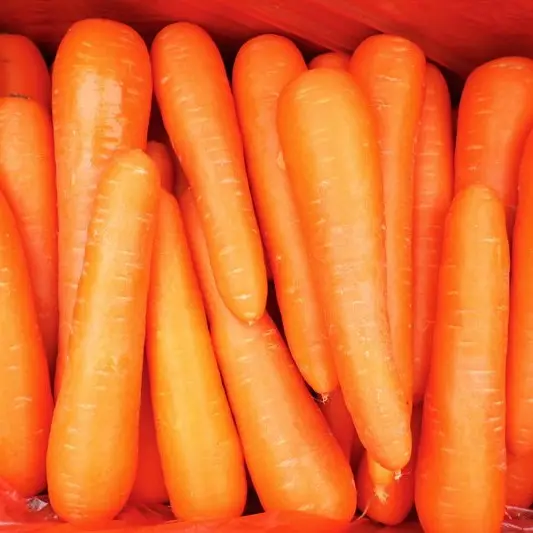 Vegetable Interested Price Origin Viet Nam - Fresh Carrot Top Vegetable - VI HUYNH +84 911 695 402