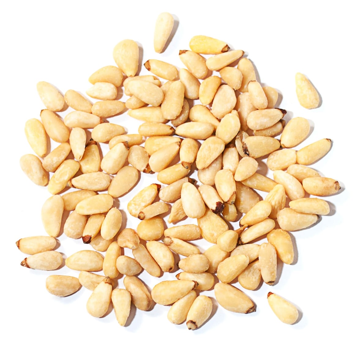 Wholesale Nutritious Organic Edible Pine Nuts for Sale