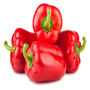 We Sales Of Fresh Capsicum