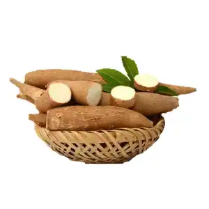 Cassava High Quality - fresh cassava root - best price