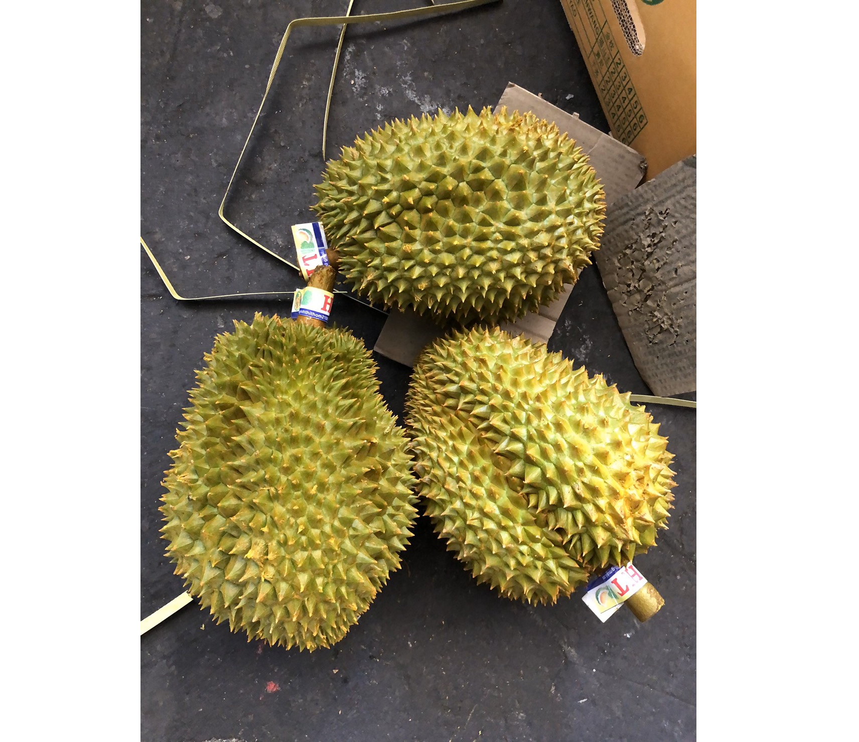 Fresh Durian Premium Quality No Preservative Special Taste 100% Natural Fresh Whole Durian From Vietnam