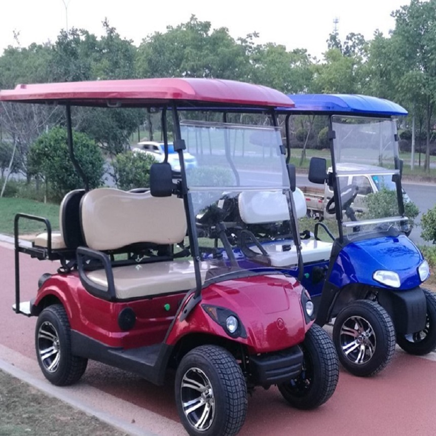 2017 newest hot sale cheap 2 seats gas powered golf /buggy carts price