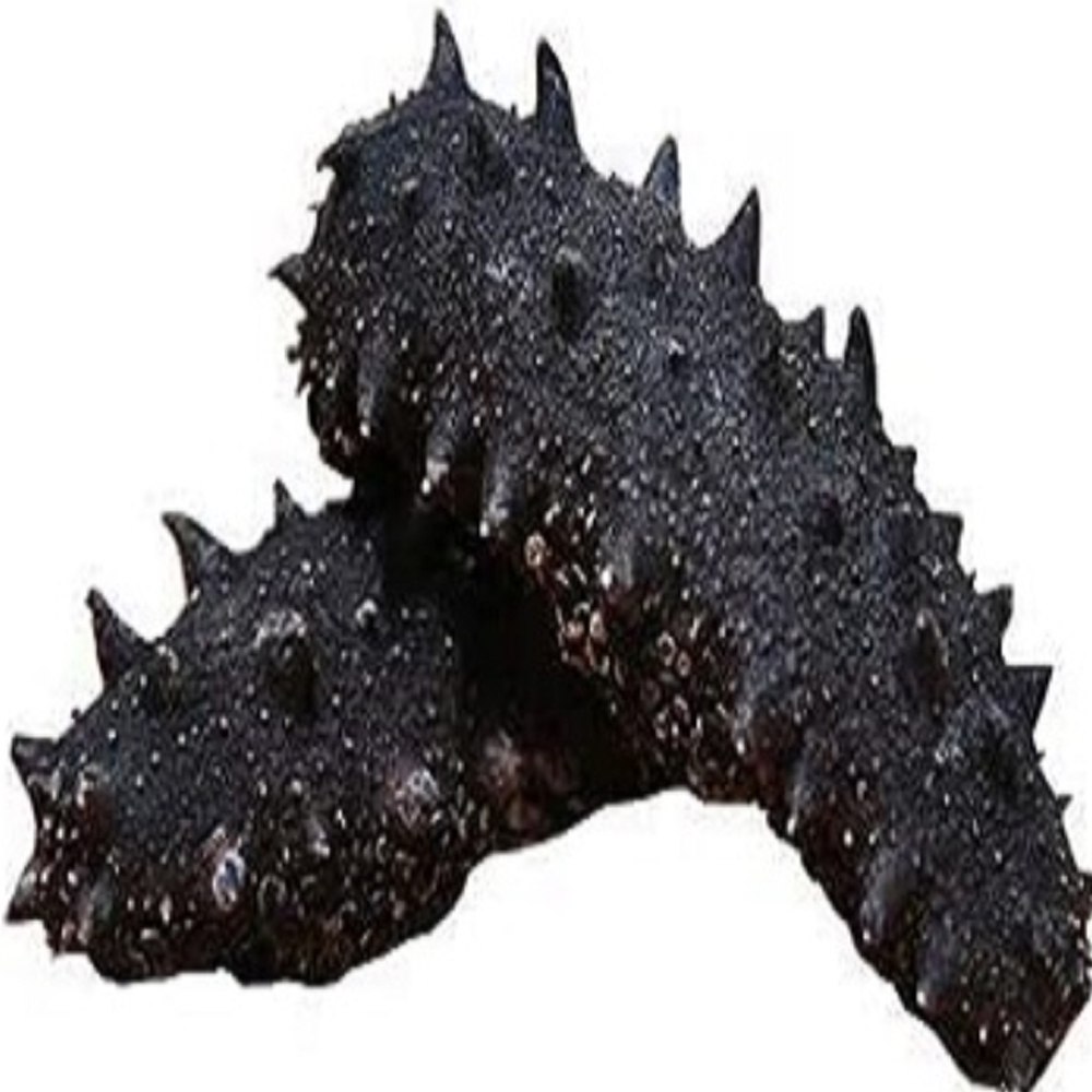 High Quality Sea Cucumber Dried For Best Priced