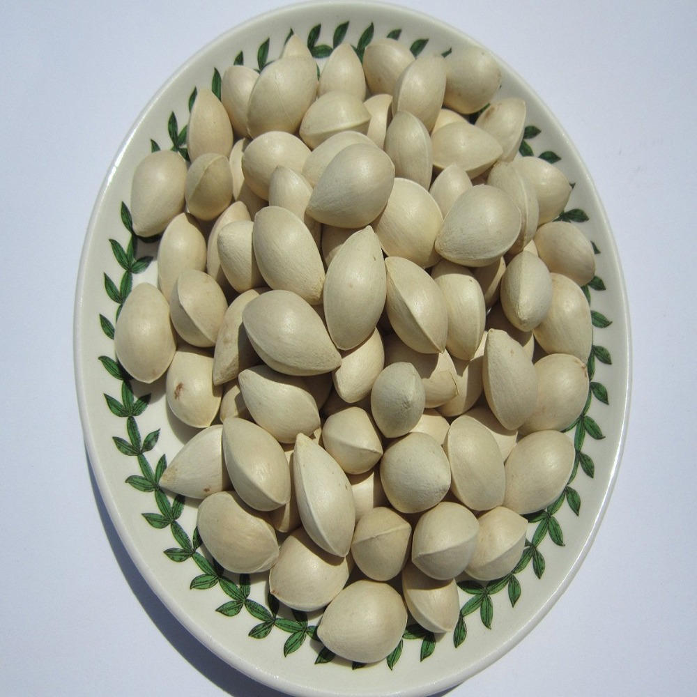 Quality Ginkgo Nuts