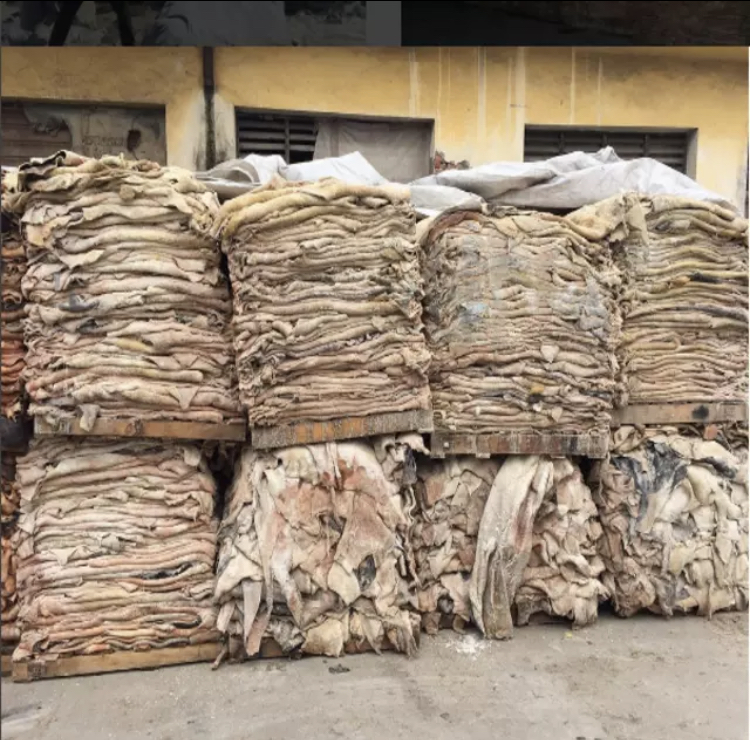 Wholesale Donkey Hide / Donkey Skin / Donkey Leather Top Quality