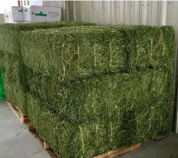 100% Pure Alfalfa Hay/timothy Hay/lucerne Hay For Animal Feed,Alfalfa Hay For Sale