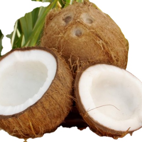 FULL/SEMI HUSKED COCONUT FROM VIETNAMESE FARMS