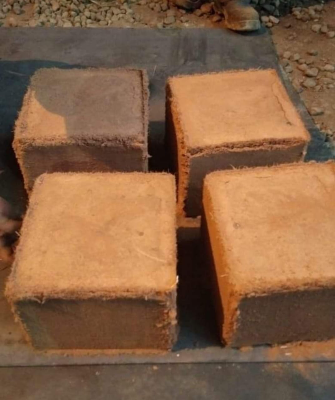Высококачественный cocopeat 5 кг Блок lo EC
