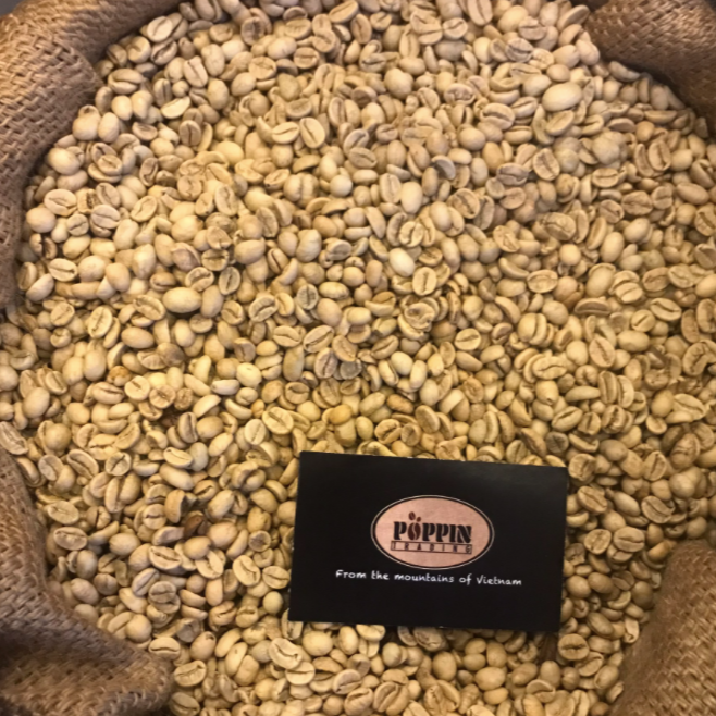 Vietnamese Robusta roasted coffee beans with best price