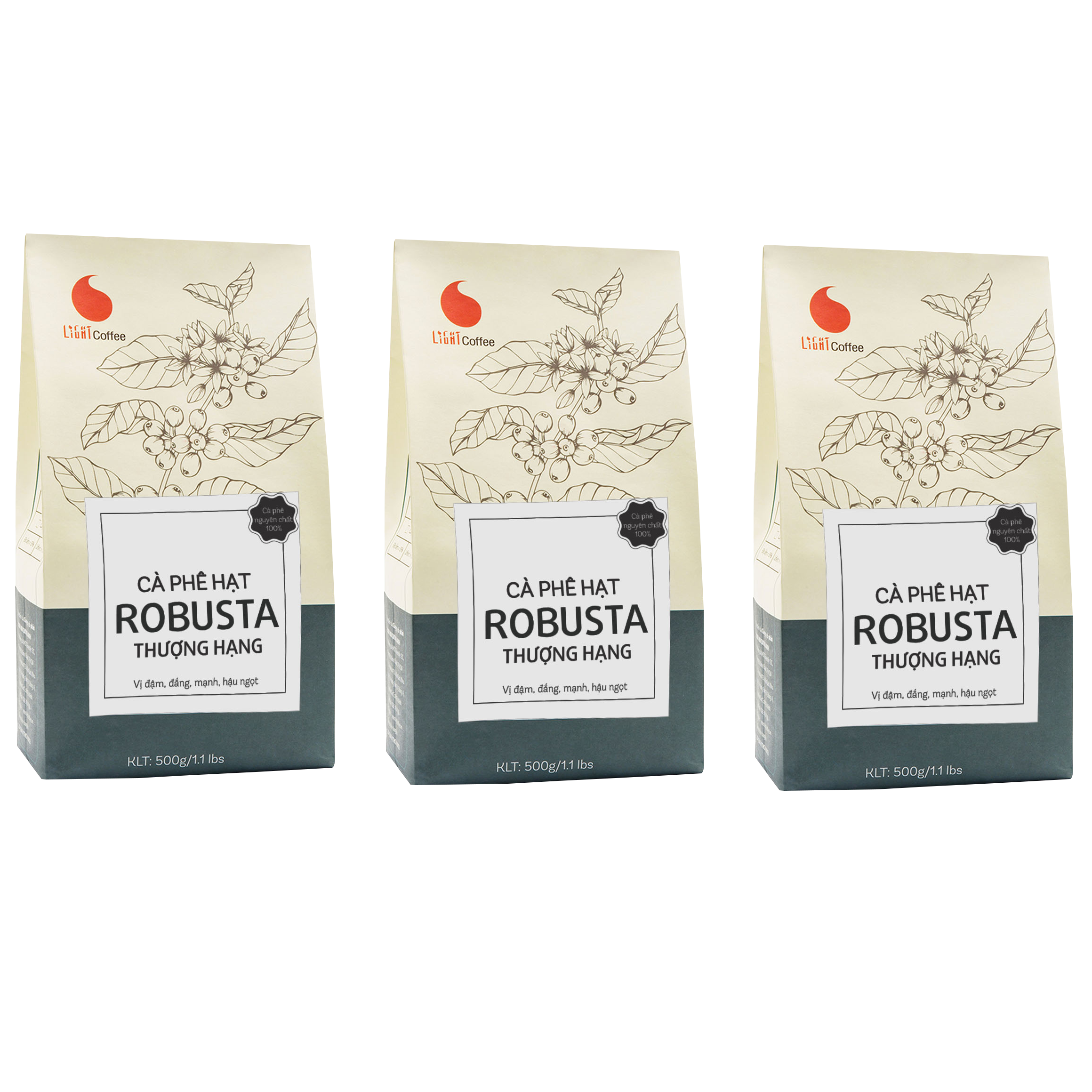 Raw Roasted Coffee Beans Weight Natural Maturity from Vietnam Company 0.5kg and Ripe Red Coffee Bean Negotiate a Grade 0.5 Kg