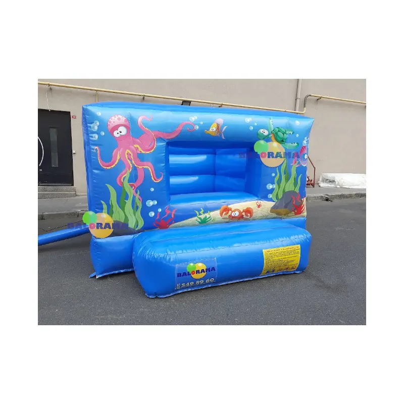 Inflatable Ball Pool Ocean 3x4x2m, inflatable theme park for sale
