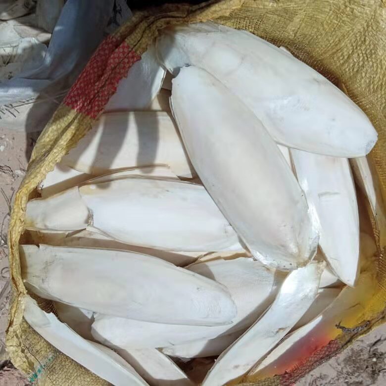 Сушеные кости для морской рыбы, морепродукты и напитки, самая низкая цена, оптовая продажа морепродуктов, сушеные кости для морской рыбы, сепия