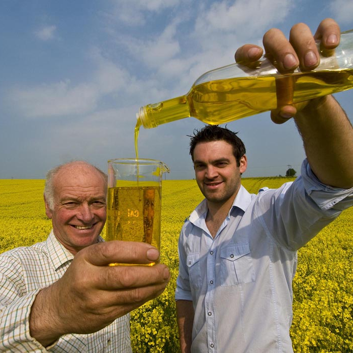 Buy Premium Quality Rapeseed Oil at Affordable Price Available for Regular Bulk Supply