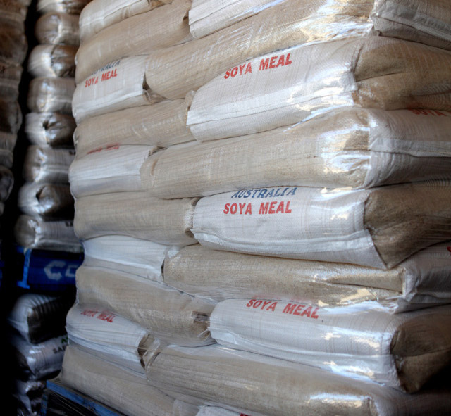 Soybean Meal 47%-65% Protein For Animal Feed