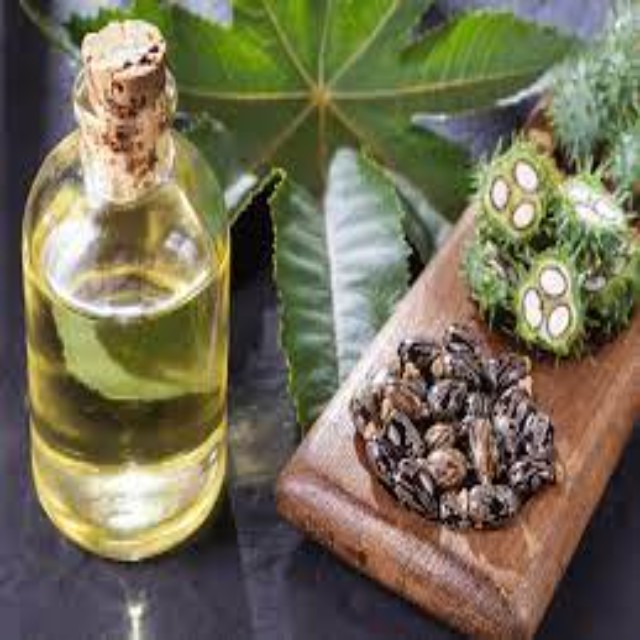 Castor Oil Price Bulk Castor Oil / Castor Oil First Special Grade Castor Oil Natural / Indian 100 Pure Nut & Seed Oil Cooking