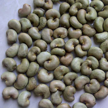 cashew nut, cashew kenel , cashew without shell