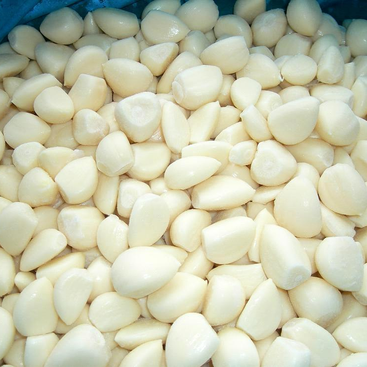 freeze dried garlic