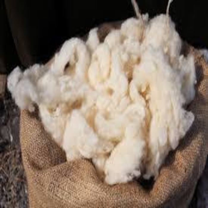 Competitive price natural 100% wool fiber sheep hair wool supplier