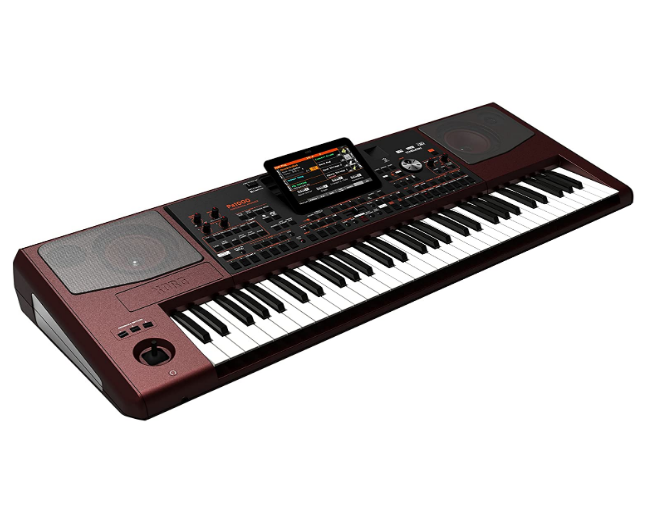 Korg Pa1000 61-ключ профессиональные проволочной оплетки