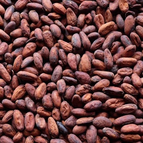 Высокое качество, сушеные какао/шоколадные бобы класса А