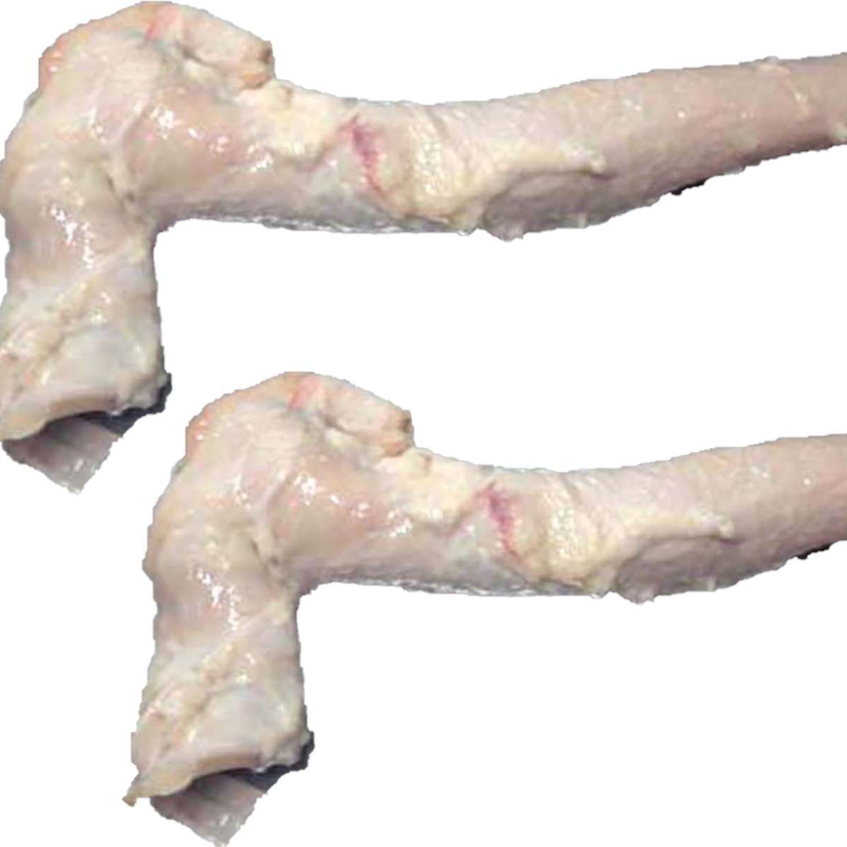 BEEF AORTA FRESH PROCESSING FROZEN BEEF AORTA HALAL BEEF OFFAL 20KG BOX HIGH QUALITY PRODUCT ORIGIN MONTENEGRO