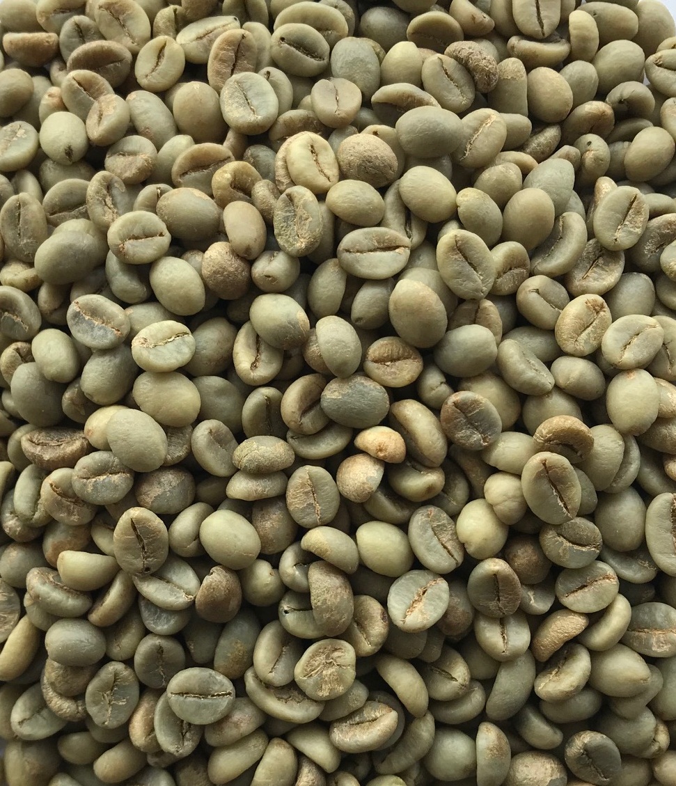 Специальные зеленые кофейные зерна, немытые, Robusta Cherry AAA Screen 19