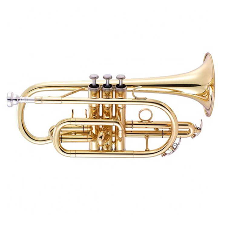 Новое поступление OEM professional bugle