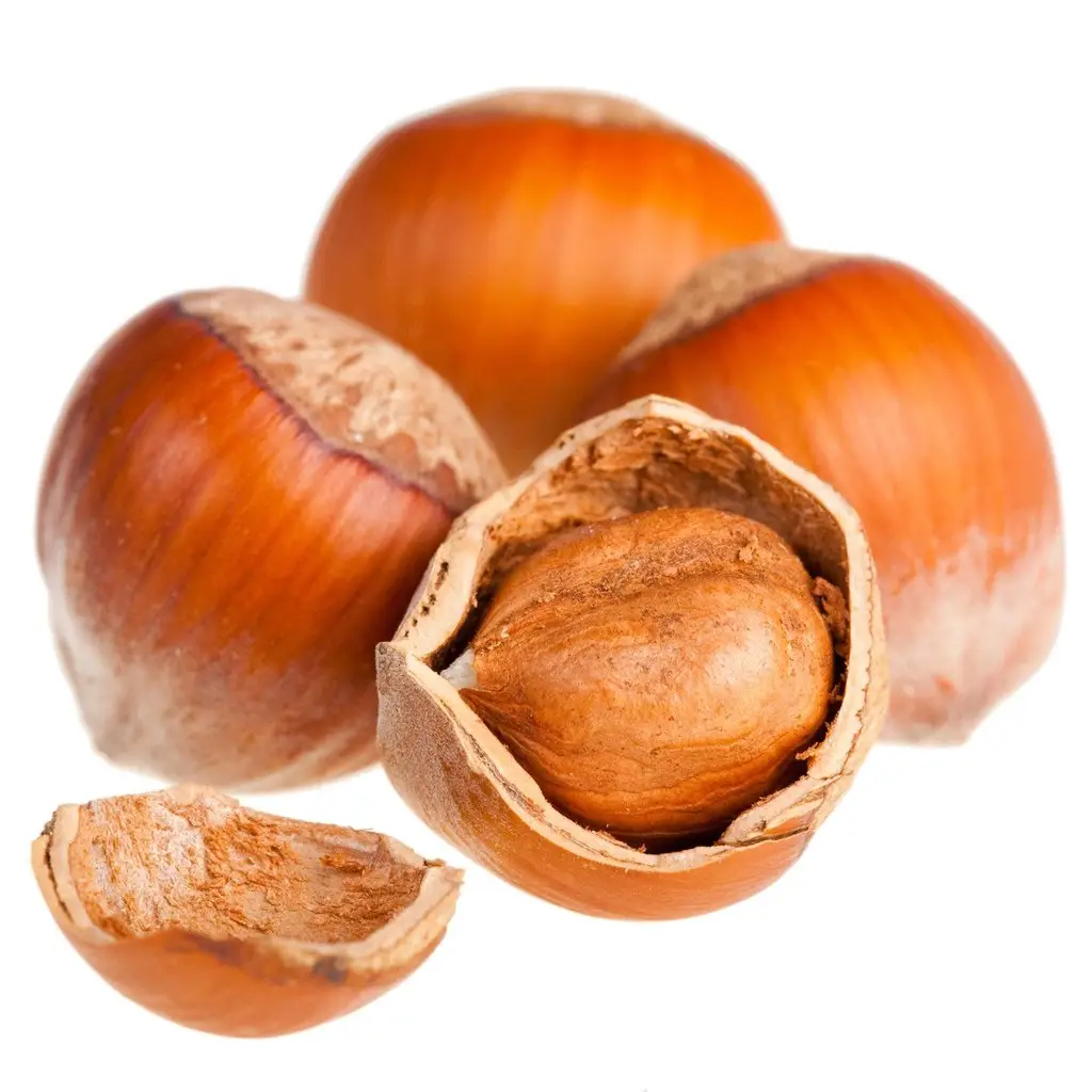 Quality Turkish Hazelnuts