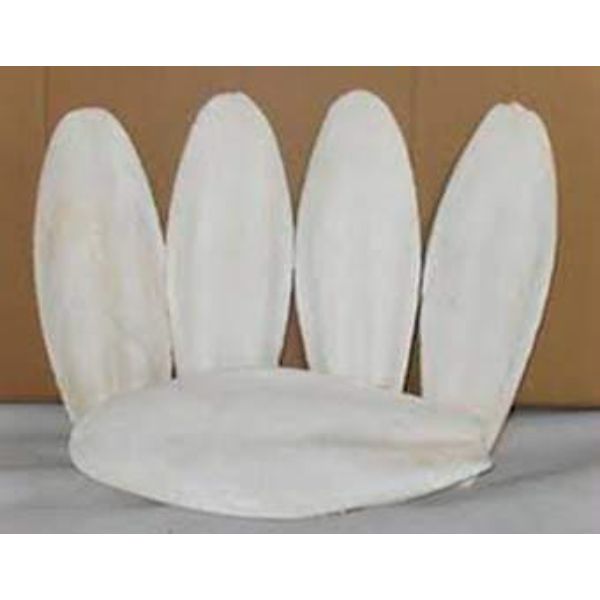 dried cuttlefish bone exporter