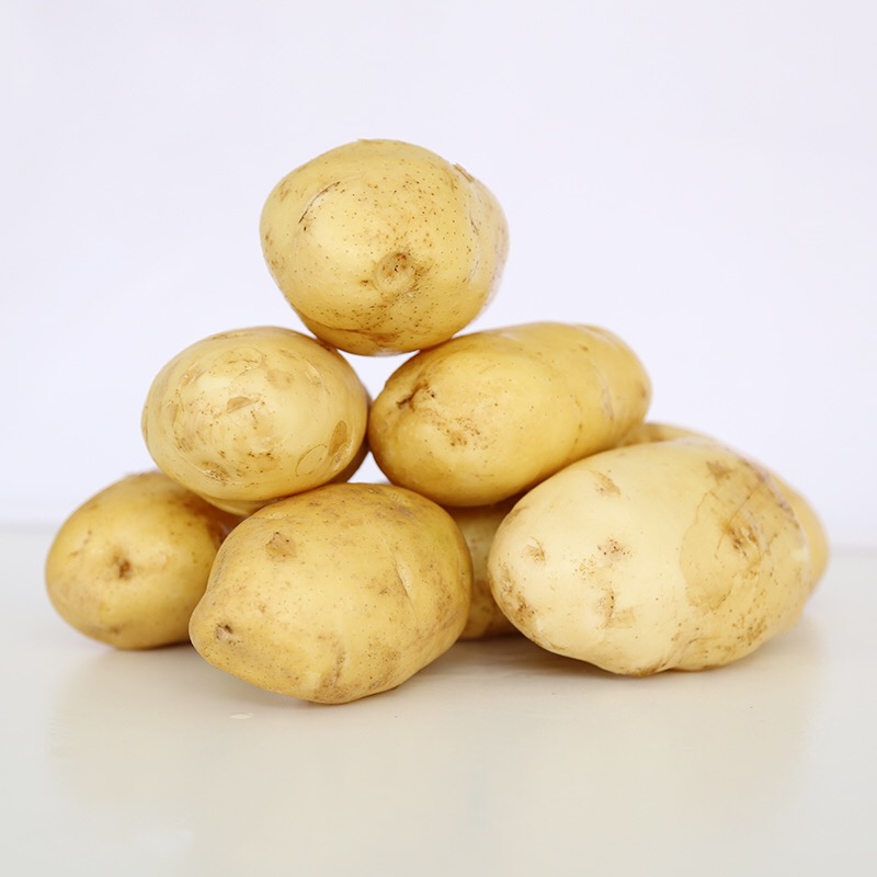 New crop fresh sweet potato wholesale price