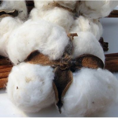 Raw Cotton