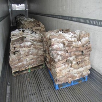 100% Wet Salted Donkey Hides / Wet Salted Donkey