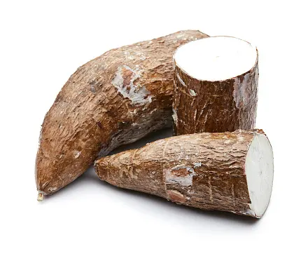 FRESH WHOLE CASSAVA ROOT BEST QUALITY FROM VIET NAM// LEON +84843665662