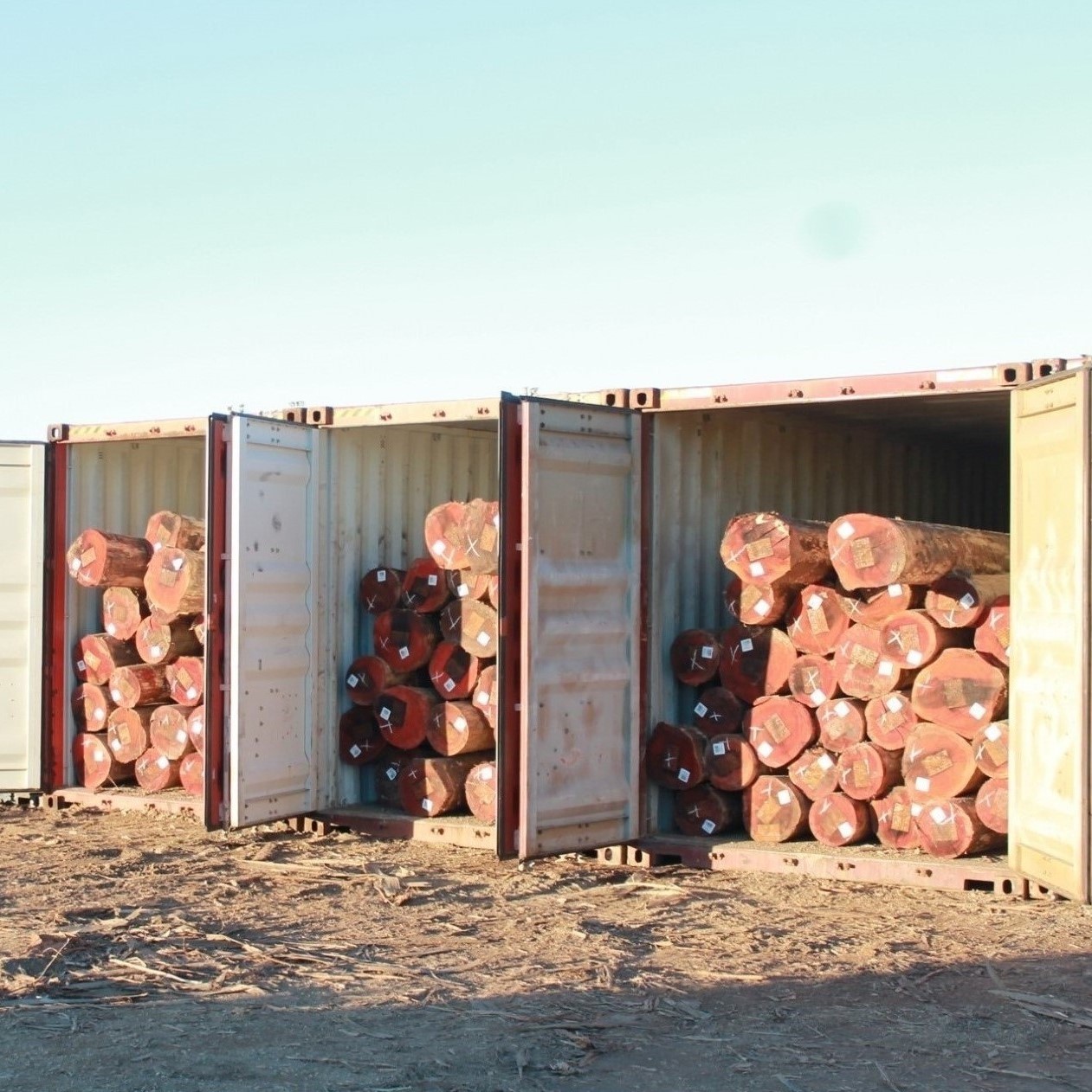 EUCALYPTUS LOGS