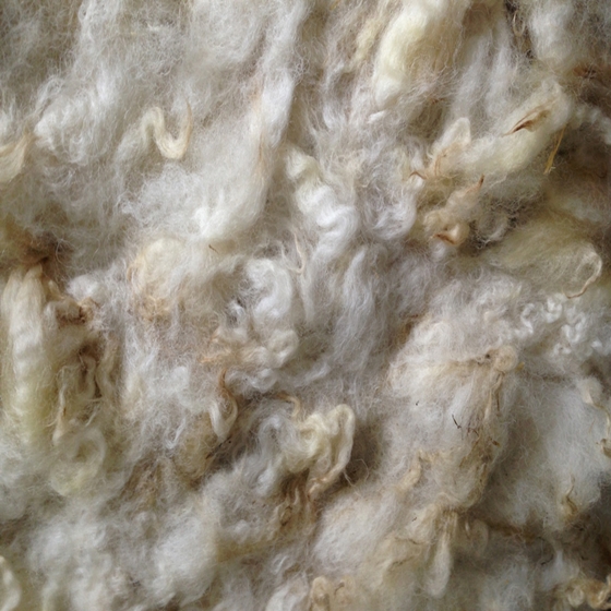 100% Sheep wool