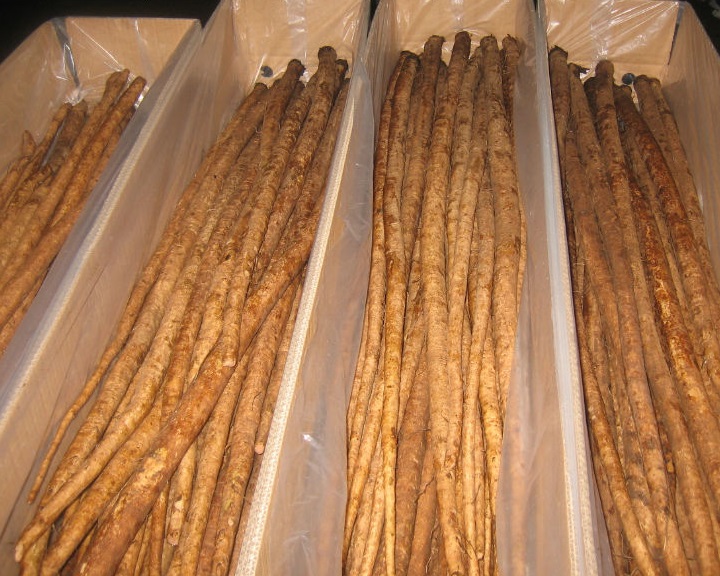 Vacuum Frozen Fried Burdock / Yellow Burdocks