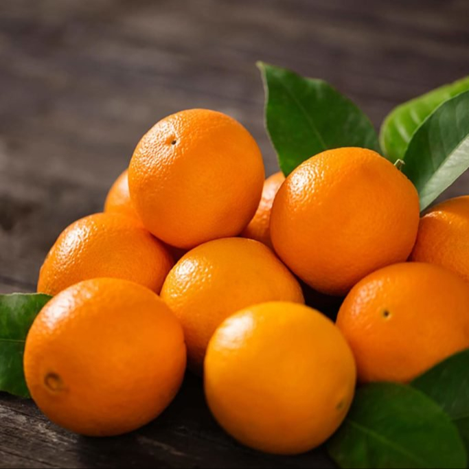 BIG OVAL SIZE FRESH NAVAL ORANGES FROM BRAZIL