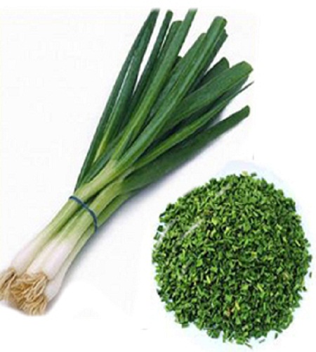 Поставка скальона/Замороженные SCALLIONS с конкурентоспособной ценой