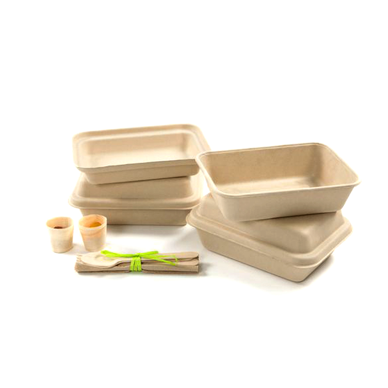 Wholesale Latest Design Manufacturer Custom Eco-Friendly Recyclable Sugarcane Dry Press Molded Pulp Packaging