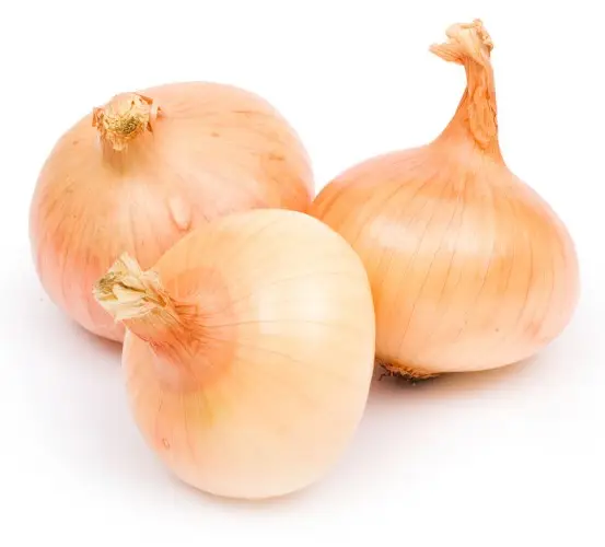 Bright Yellow Fresh Onions Price Per Fresh onion red and yellow
