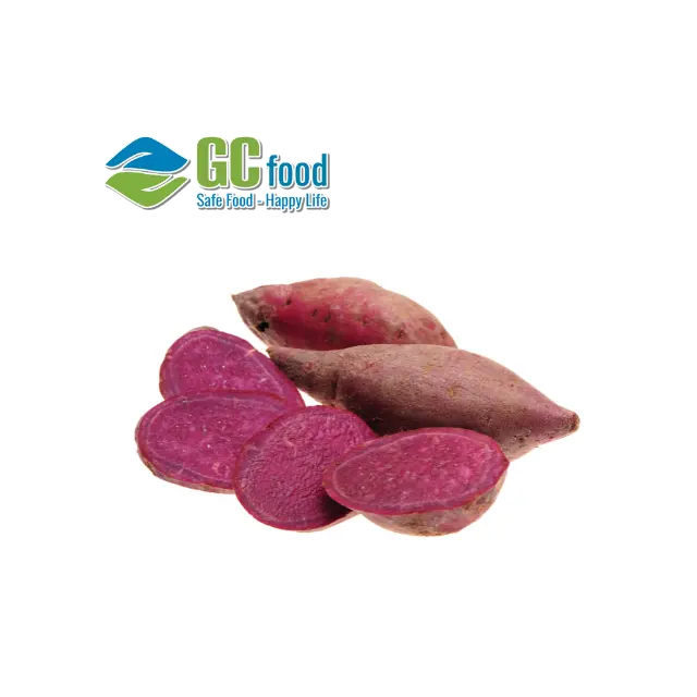 (GC Food )Sweet Potato ( Purple) Cultivation Fresh 100% Maturity Newest Crop Organic from natural vegetable made in Viet Nam