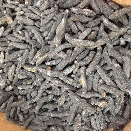 High Quality Sea Cucumber(Stichopus Japonicus) No Additives