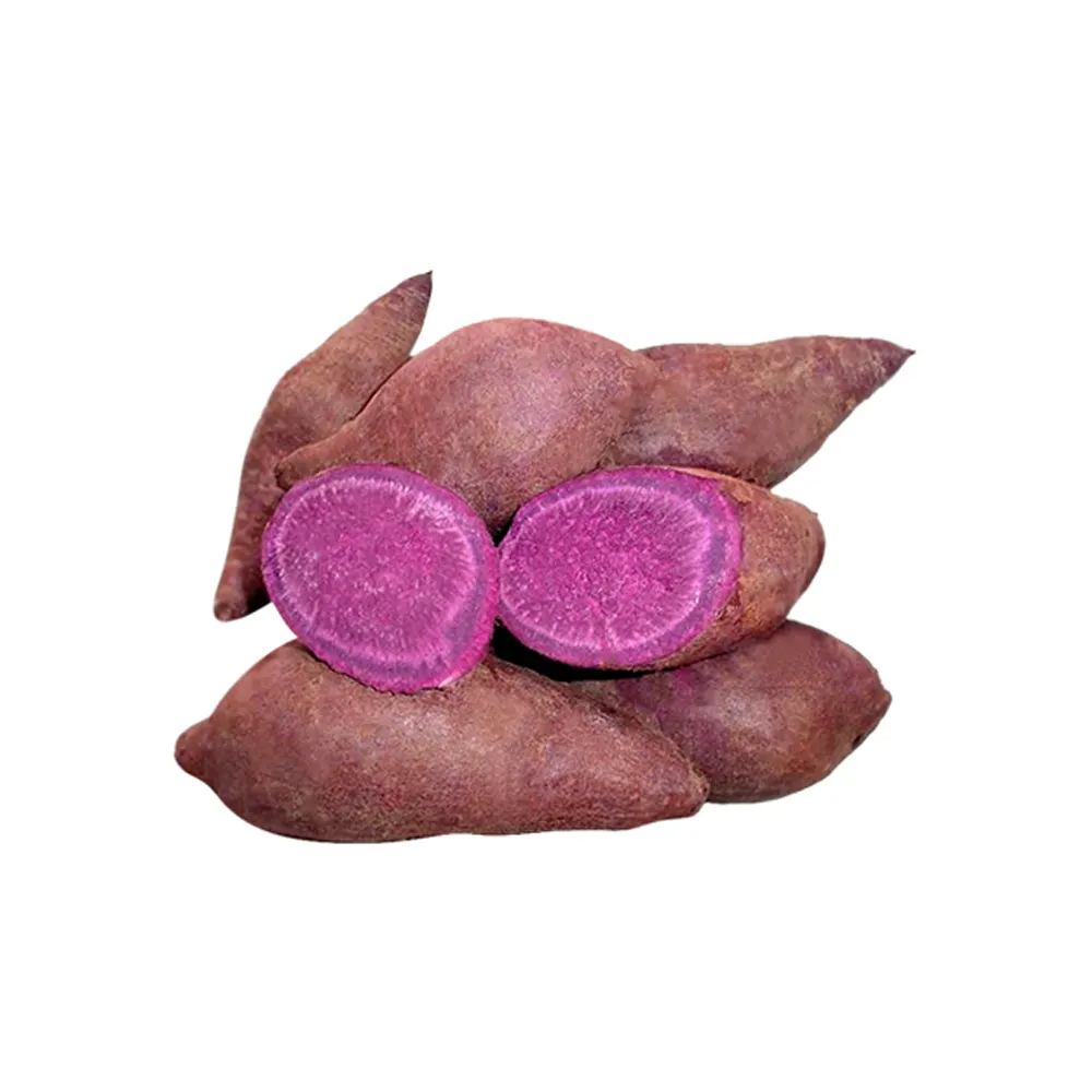 Hot selling Sweet Potato ( Purple)- Fresh Potatoes slice- 100% Maturity Newest Crop with 10kg - LC/TT at sight from Viet Nam