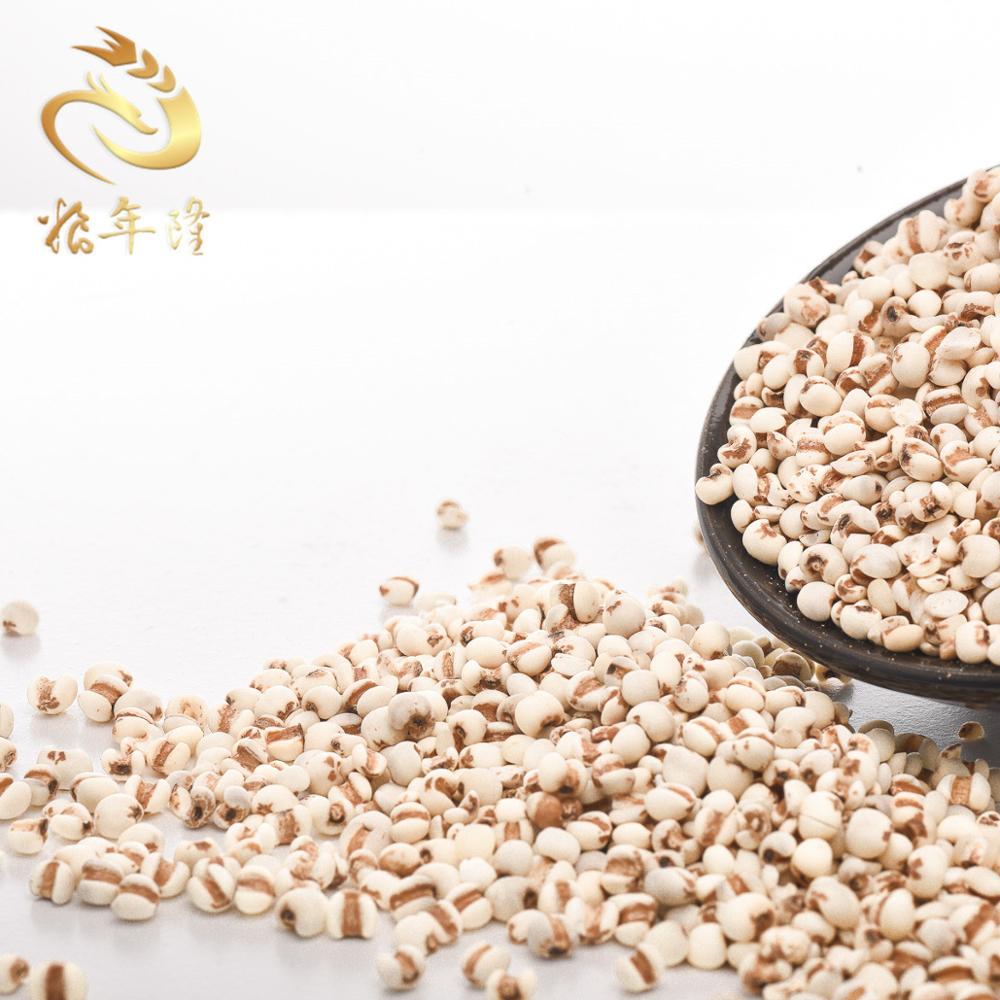 New Crop Wholesale Chinese Job's Tear organic protein rich malt barley